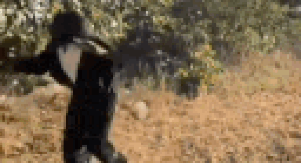 Deccan Alert | Indian Sarpanch Scares Away Monkeys with Unconventional Bear Costume Approach