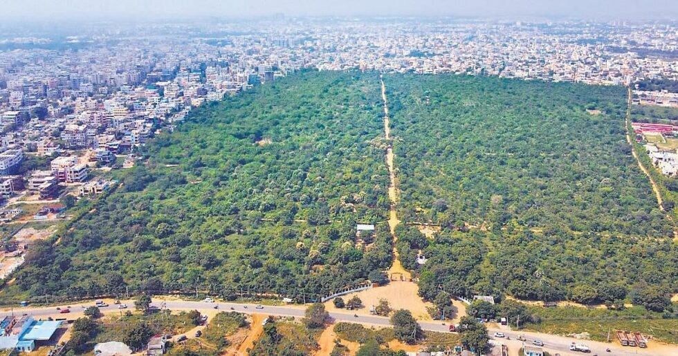 Deccan Alert | Union Government Sanctions Development of 14 Urban Forest Parks in Telangana Under Nagar Van Yojana