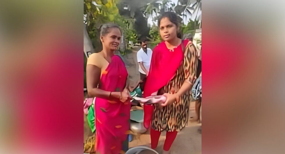 Deccan Alert | "37 Fish Species Discovered in Sompeta Wetlands, Highlighting Ecological Richness and Threats"