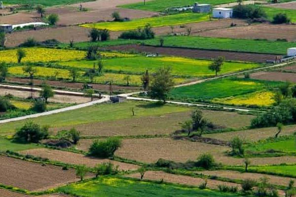 Deccan Alert | YSR Congress Party Challenges BJP-led Government Over Land Titling Act in Andhra Pradesh