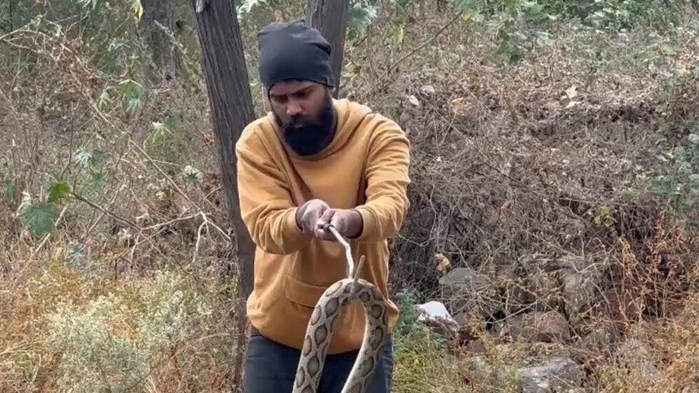 Deccan Alert | Increased Snake Rescues in Urban Telangana Signal Ecological Adaptation and Loss of Habitats