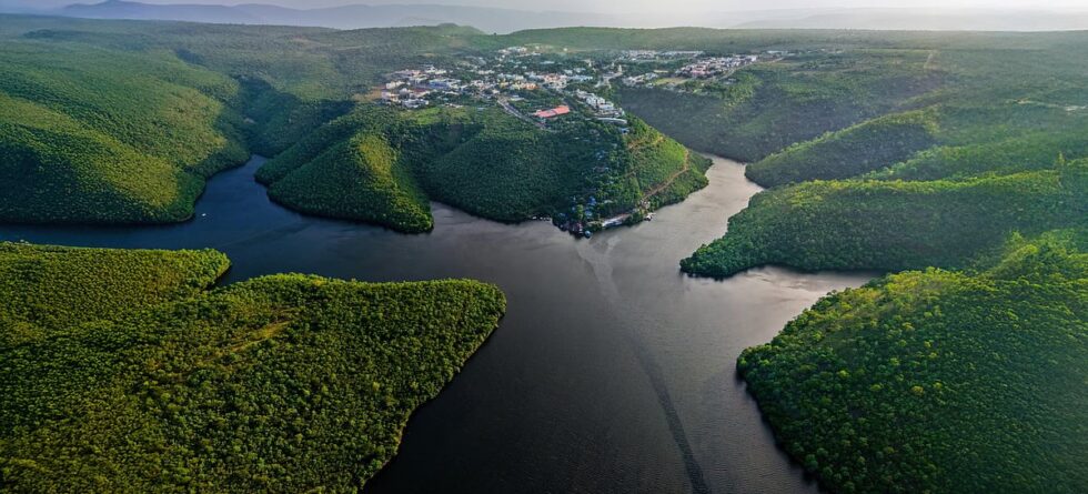 Deccan Alert | Unveiling Telangana's Hidden Gems: A Wilderness Paradise in South India