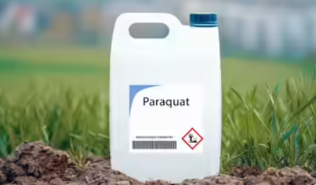 Deccan Alert | Urgent Call for Nationwide Ban on Toxic Herbicide Paraquat After Several Deaths in Telangana